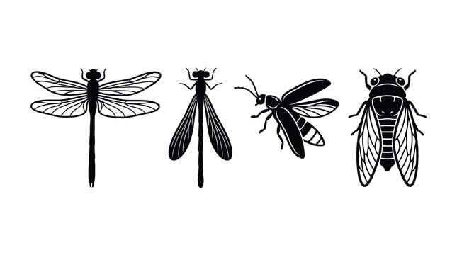 Insect silhouettes Dragonfly fly bee and cicada in black and white