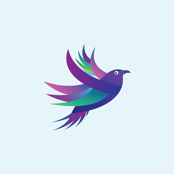Stylish gradient bird logo design templates