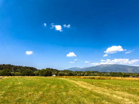 Wide field under blue sky with clouds. A wide field is shown with grass and trees under a clear blue sky. Mountains are visible in the distance.
