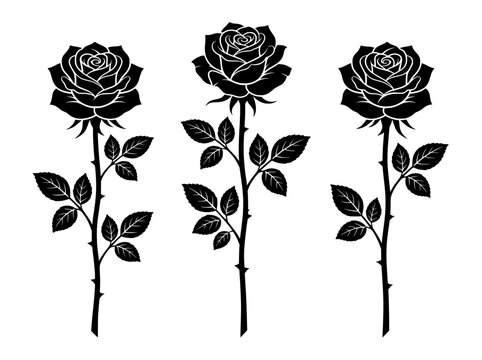 Black rose silhouette vector set, elegant floral blossom icons with stems and leaves, 3 minimalist rose flower illustrations