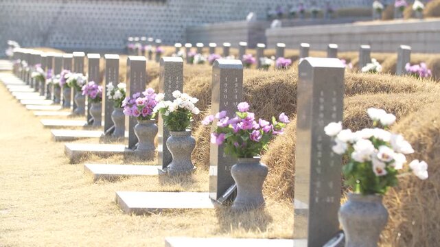 국립518민주묘지 518묘역 신묘역 망월동 광주 광주민주항쟁 항쟁 518민주화운동 묘비 묘지 묘역 국목 화병 국화 꽃 추모 참배 민주주의 추모공원 기념비 역사 유적지 문화재 상징물 민주화 성지 영령 희생자 잔디 봉분