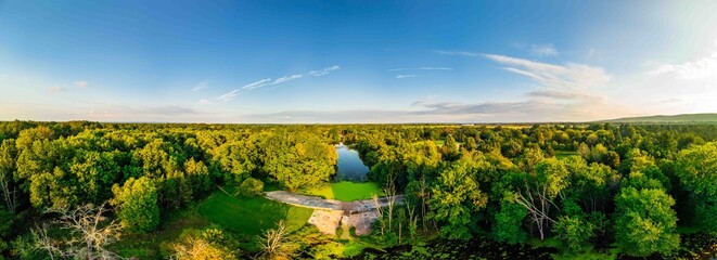 Aerial Forest Panorama