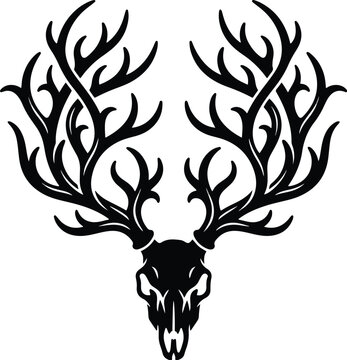 Detailed deer skull vector graphic with large majestic antlers in black silhouette
