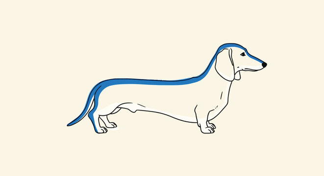 Minimalist dachshund vector illustration, blue and white wiener dog profile, modern pet line art for branding and logos