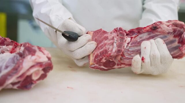 butcher cutting raw meat with a metal knife in a professional kitchen setting close-up on hands and meat, professional food industry scene with gloves and red meat visible.