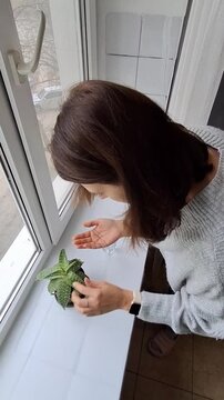 Woman caring for a small plant by a window in a bright indoor space