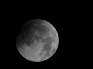 Fototapeta premium moon