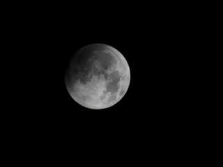 Fototapeta premium moon