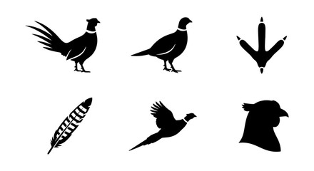 Fototapeta premium Pheasant Icons Set, Bird Silhouettes, Feather and Footprint Vector Graphics