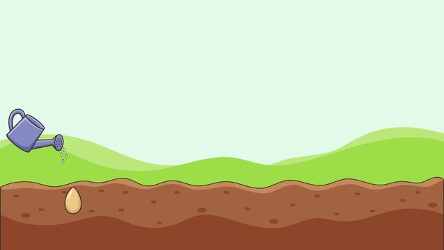 animated video for children about plant growth, from seed to mature plant
