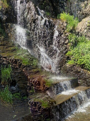 Water cascading over dark rocky cliff steps in a lush green forest © Tariq
