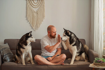 Man and husky with palms pressed together on a sofa © iwavephoto