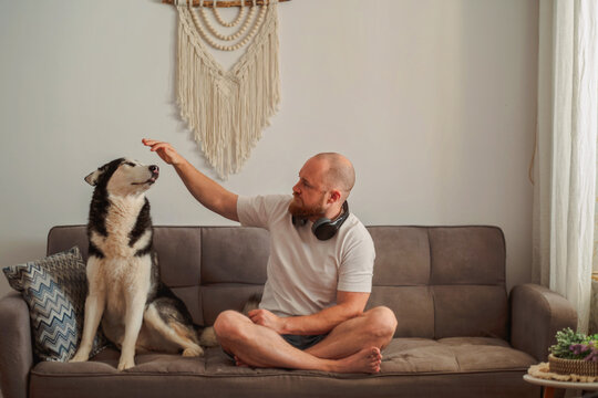 Husky howling with its owner on a sofa at home