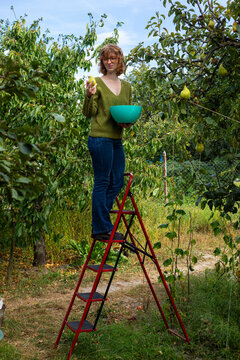 gardener on the garden stairs