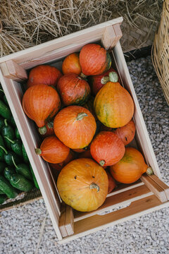 Pumpkins in a wooden box