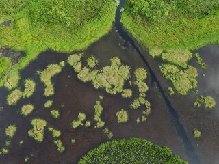 Aerial drone view of aquatic vegetation and narrow waterways in the Pripri de Yiyi wetland near Sinnamary, French Guiana. © Mykola