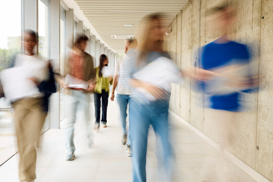 Students move through the university