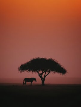 Silhouette of an acacia tree and a horse against a vivid orange and pink sky, capturing the tranquil beauty of the African savanna at dusk
