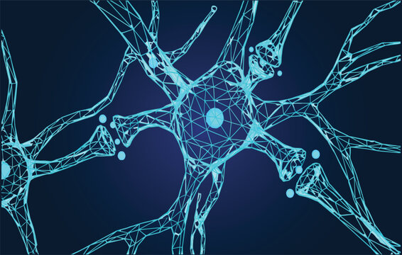Polygonal wireframe human brain neuron cell synapse neural network vector illustration on a dark blue background