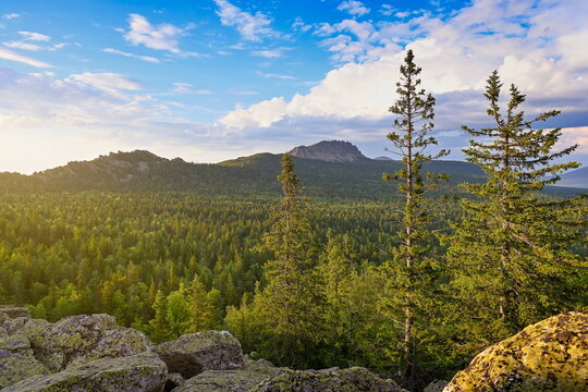 Evening sunbeams on pine trees in Taganay National Park, Chelyabinsk region of Russia