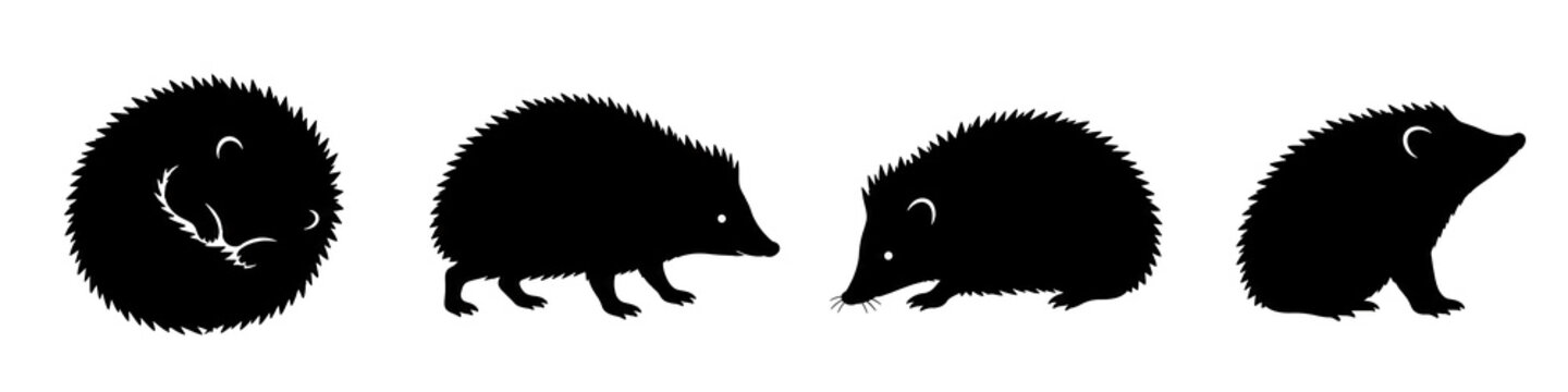 hedgehog silhouette set vector illustration on white background