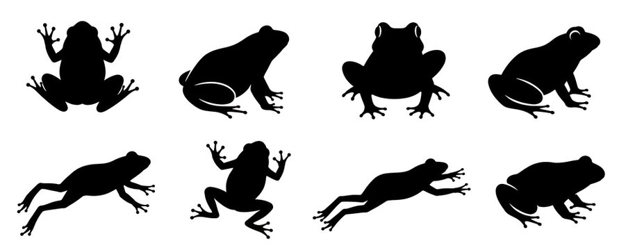 frog silhouette set vector illustration isolated on white background