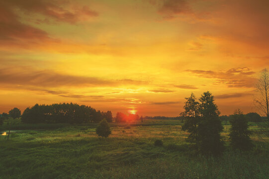 Rural landscape with the beautiful evening sky. Green meadow in summer