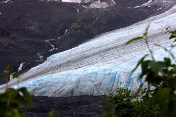View of Exit Glacier in Seward, Alaska. View from Harding Icefield Trail © Stefano
