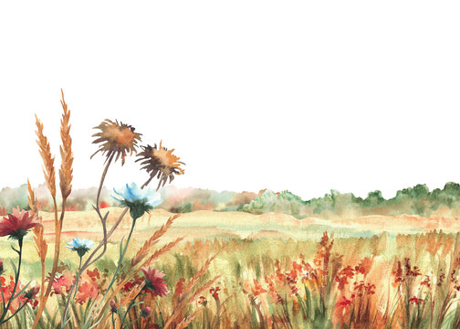 Autumn field with red, orange wildflowers, green yellow grasses and seasonal colorful forest trees silhouettes Hand drawn watercolor landscape with nature fall meadow. Isolated from background.
