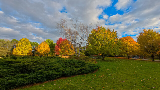 Scenic autumn landscape view of James Gardens in Toronto
