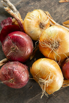 Fresh red and yellow onions placed on rustic wooden background, organic agriculture and culinary harvest concept