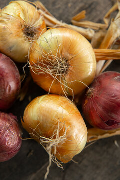 Fresh red and yellow onions placed on rustic wooden background, organic agriculture and culinary harvest concept