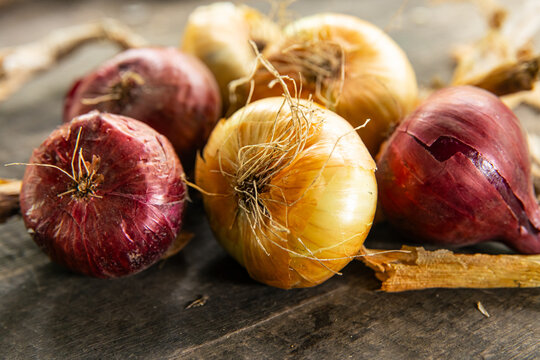 Fresh red and yellow onions placed on rustic wooden background, organic agriculture and culinary harvest concept
