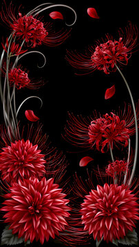 Red Spider Lilies and Dahlia Flowers on Black Background with Copy Space