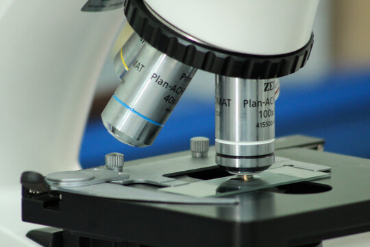 Muestra de laboratorio