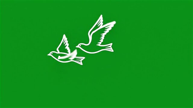  Birds Flying on Green Screen Animated Pair of Flying White Birds Outline Motion Graphic Green Screen Background White Line Art Freedom Bird Flying Animation Loop