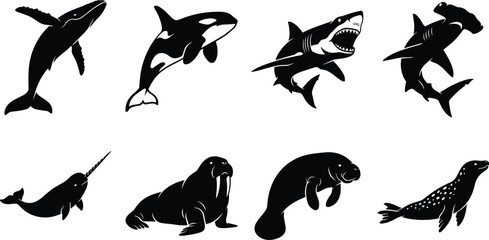 Set of black silhouettes of ocean mammals, whales, sharks, and marine animals on white background. © RitaRani