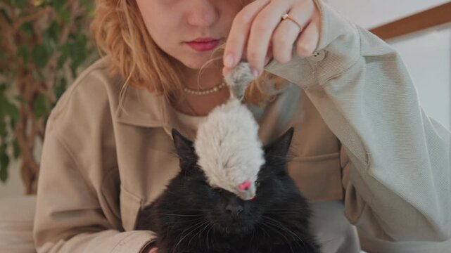Close up of woman holding black cat while gently moving small gray plush toy over its head and body. Woman wears light colored jacket with button details soft lighting creates warm indoor