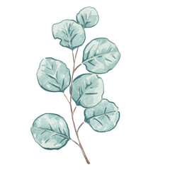 eucalyptus botanical watercolor © IrvanRamdani