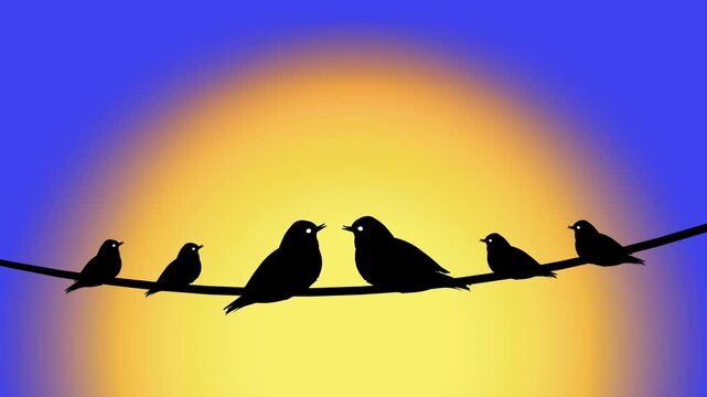 Flying Birds Silhouette Against Sunset Animation