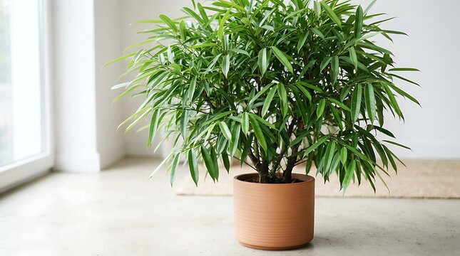 Lush green bamboo palm plant in stylish terracotta pot for modern home decor