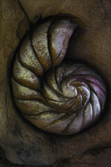 Decorative stone carving of spiral nautilus shell fossil with textured details. © vannet