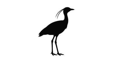 Fototapeta premium A black silhouette of a secretary bird stands against a white background silhouette