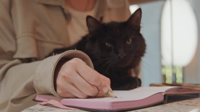 Woman writing in notebook with black cat resting on her arm. Close up shows hand holding pencil over open pink journal soft lighting creates warm indoor atmosphere with blurred background