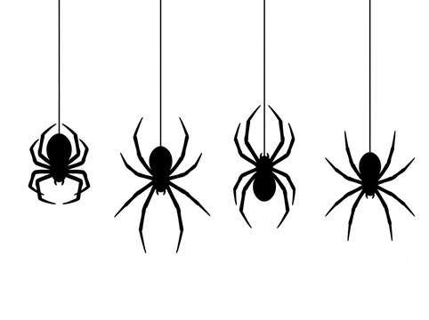 Set of Four Black Spiders Hanging on Strings Vector Silhouette Pattern Isolated on White Background