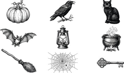 Vintage Halloween hand drawn line art vector set featuring creepy pumpkin, spooky raven, mystical black cat, flying bat, and witch cauldron illustrations. © MD TUHIN