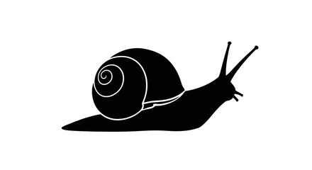 Black snail silhouette against a white background showcases its spiral shell © Sh Studio