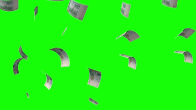 Pakistani currency falling from upside, 500 rupees notes falling down, animated video on green screen, chroma key, 4k video