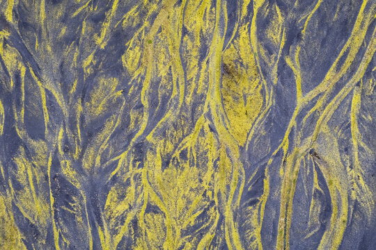 Aerial view of the intricate braided river patterns of Skeidflotur, featuring vibrant yellow moss contrasting against dark volcanic sand in Skeidflotur, Myrdalshreppur, Iceland.