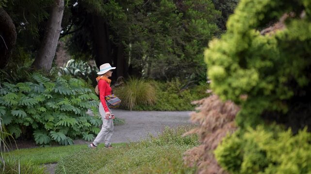 Mature woman walks through the beautiful Mendocino Coastal Botanical Gardens in Fort Bragg California on a sunny day enjoying the flora.